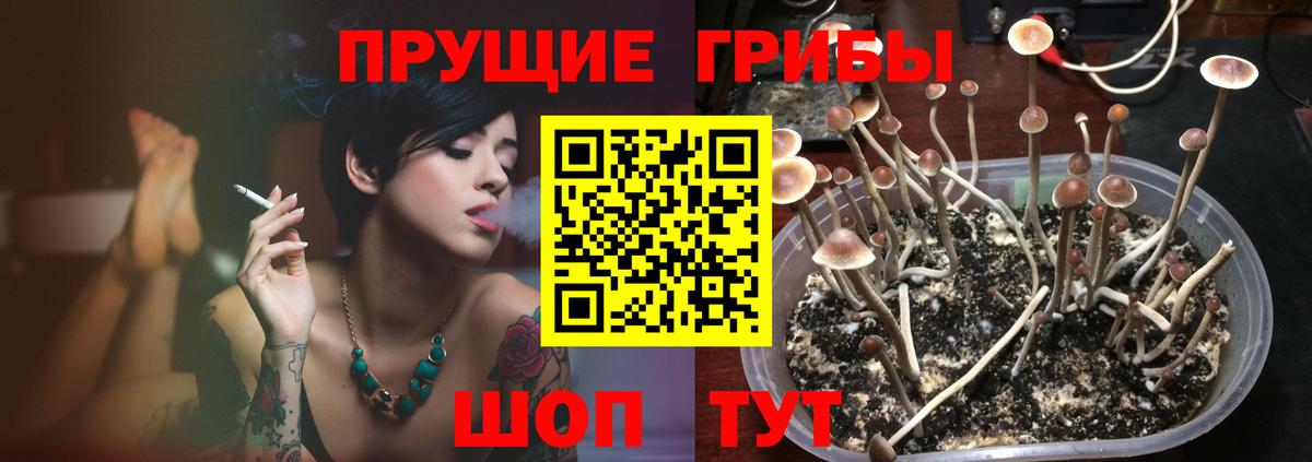 Псилоцибиновые грибы мухоморы Зеленогорск